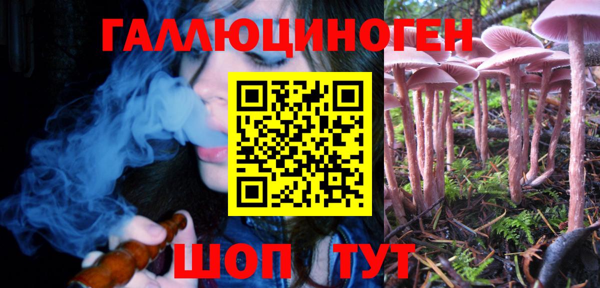 Галлюциногенные грибы прущие грибы Чебаркуль
