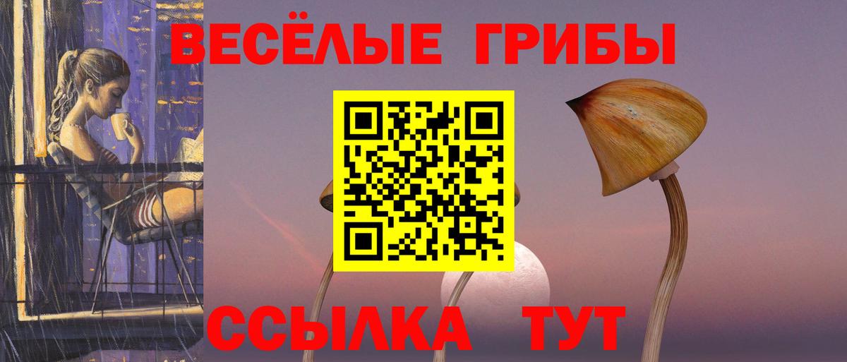 Чебаркуль  Псилоцибиновые грибы MAGIC MUSHROOMS  Вход с VPN 